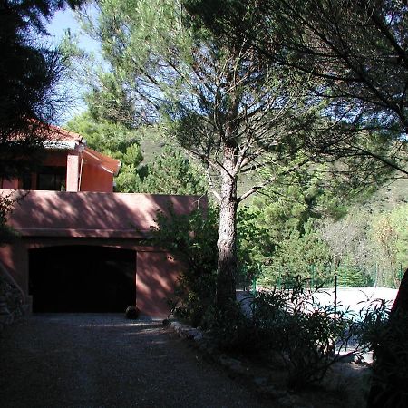 Chambres D'Hote L'Amandiere A Cucugnan Kültér fotó