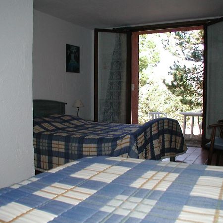 Chambres D'Hote L'Amandiere A Cucugnan Kültér fotó