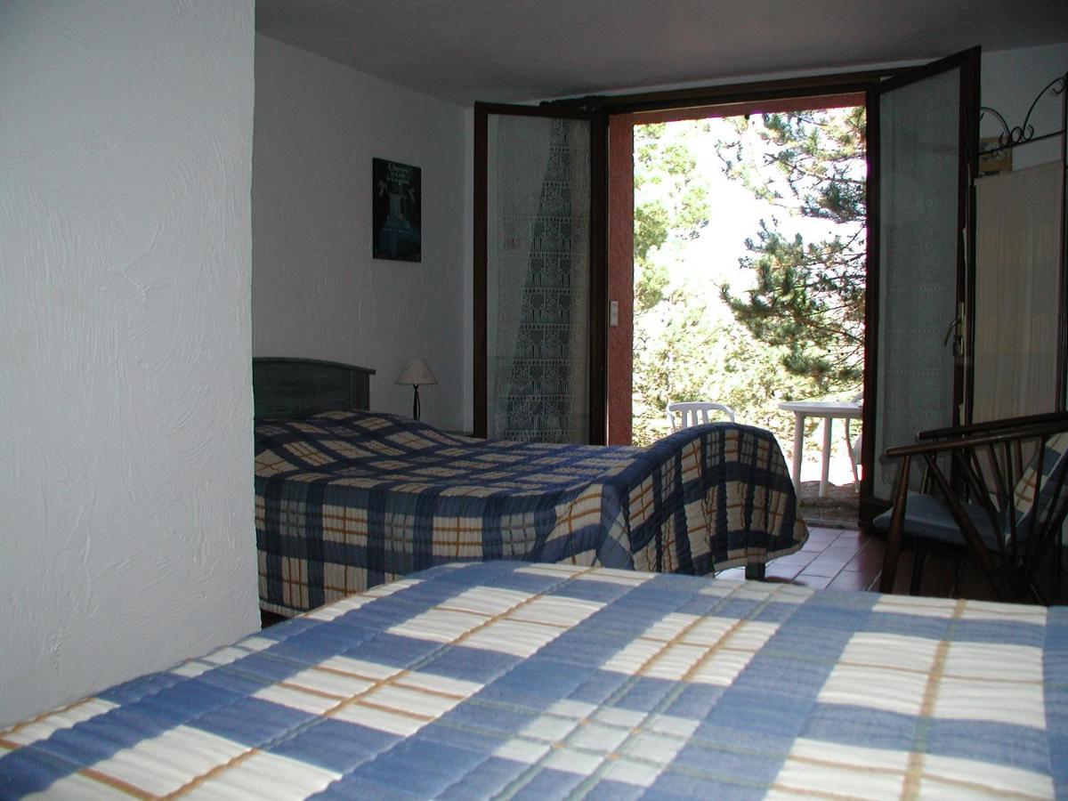 Chambres D'Hote L'Amandiere A Cucugnan Kültér fotó